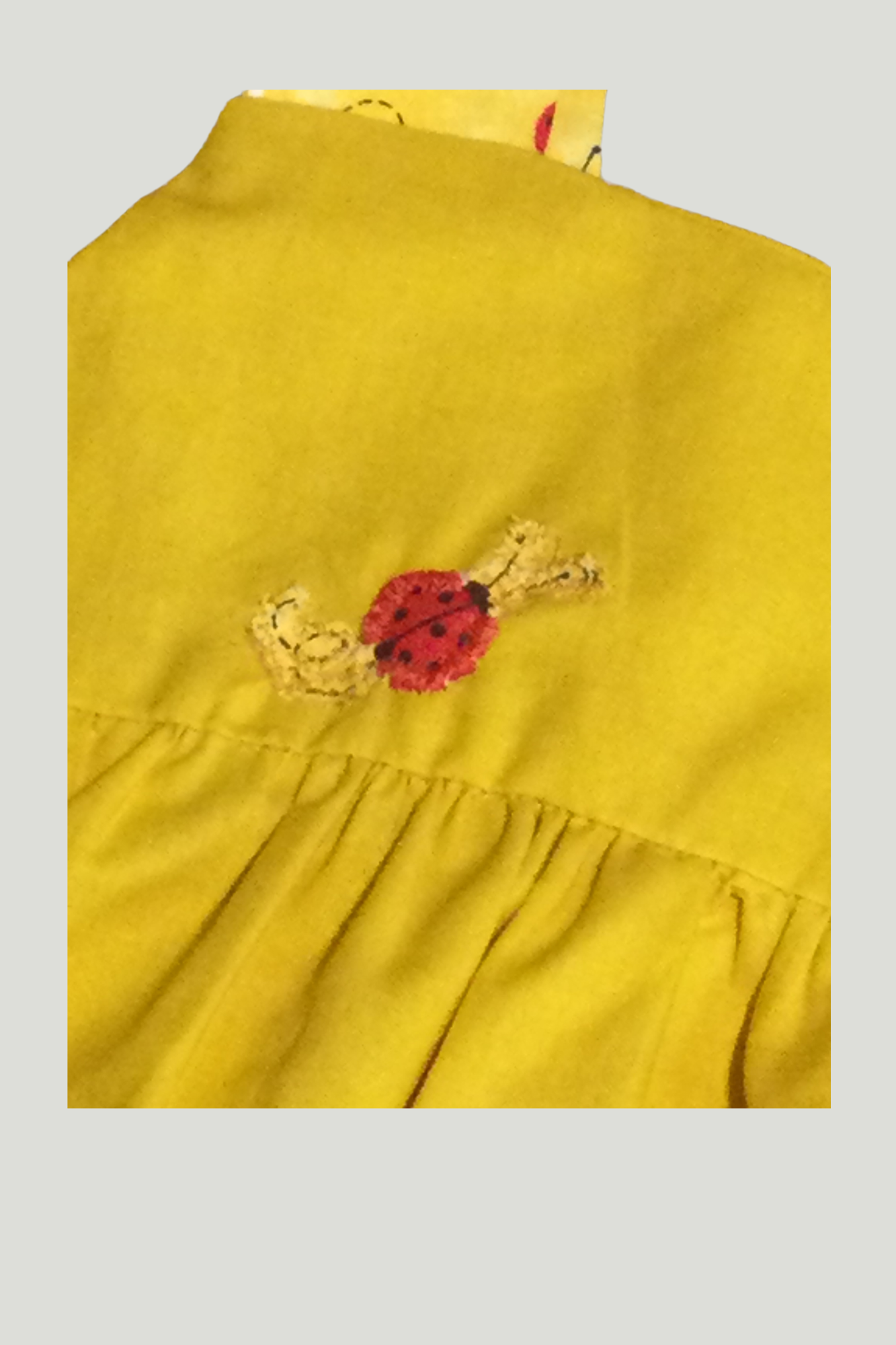DAISY & LADYBUG SET