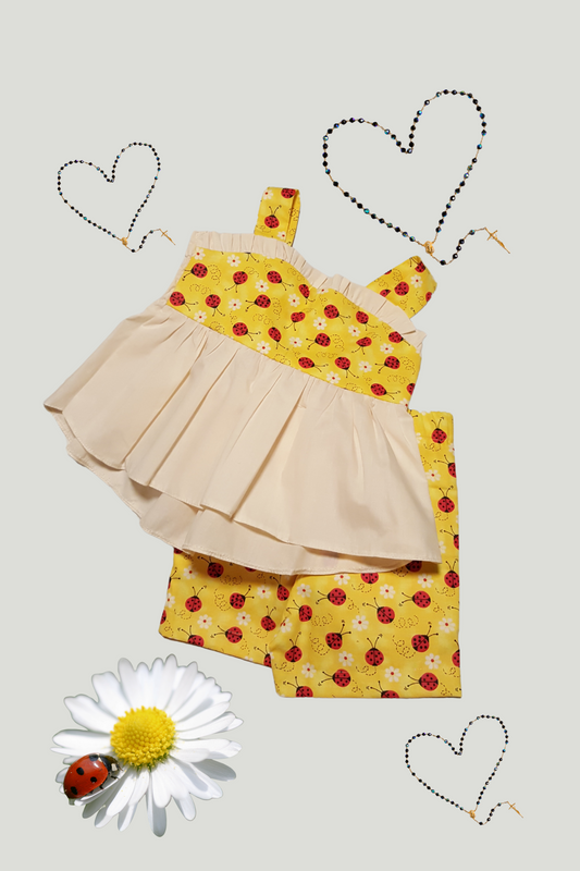 CUTE LADYBUG SET